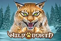 Wild North